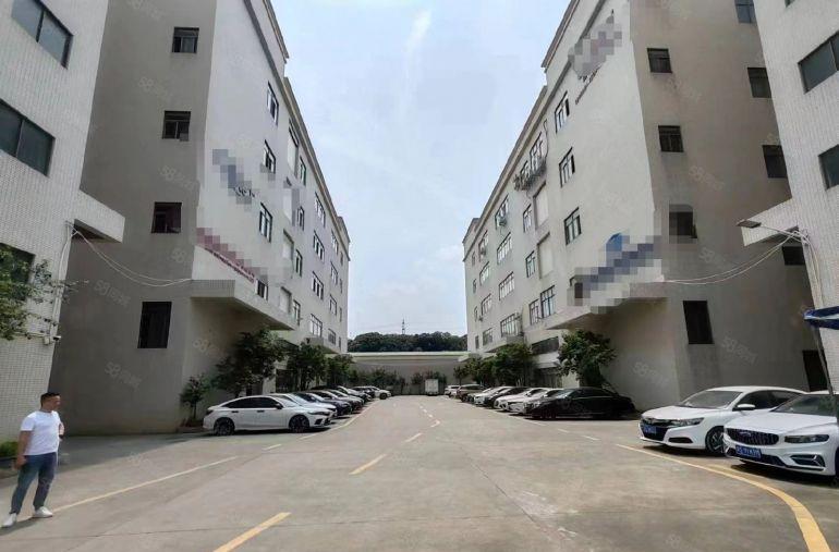 高速路口附近大岭山杨屋园区楼上1800平方豪华装修厂房出租