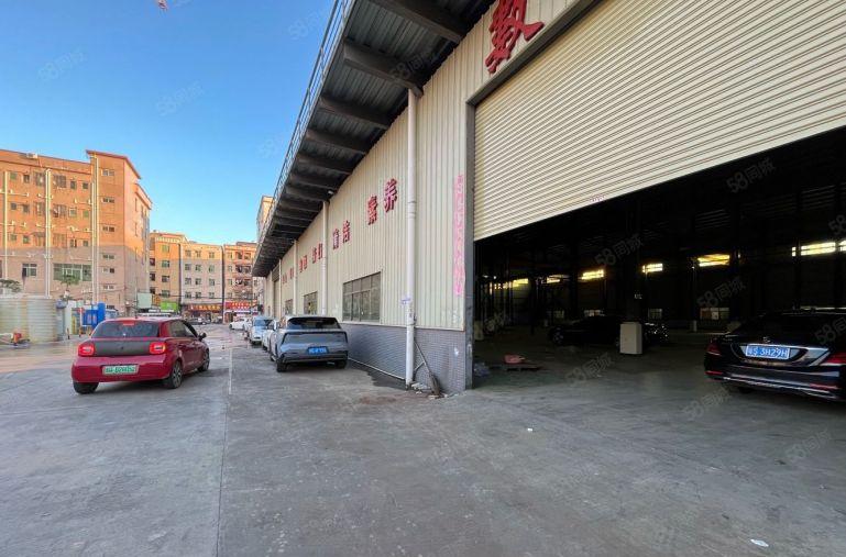 原房东厂房出租大岭山大塘村原房东12米高钢构厂房出租