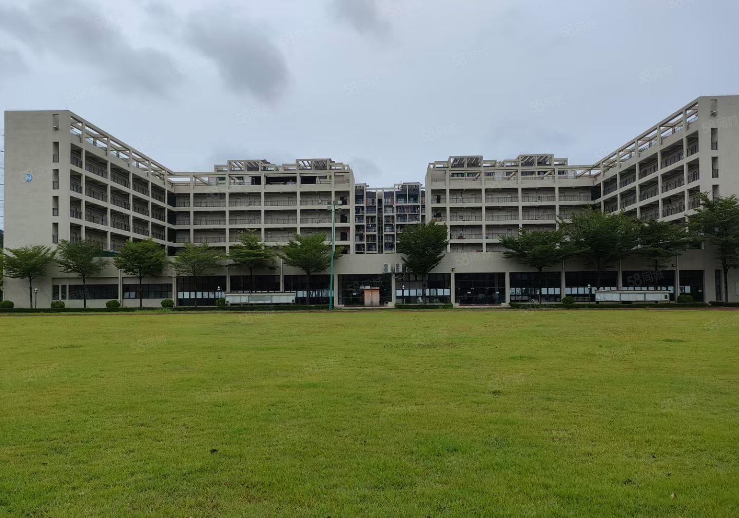 大岭山新出国有红本花园式标准厂房可分多个小独院