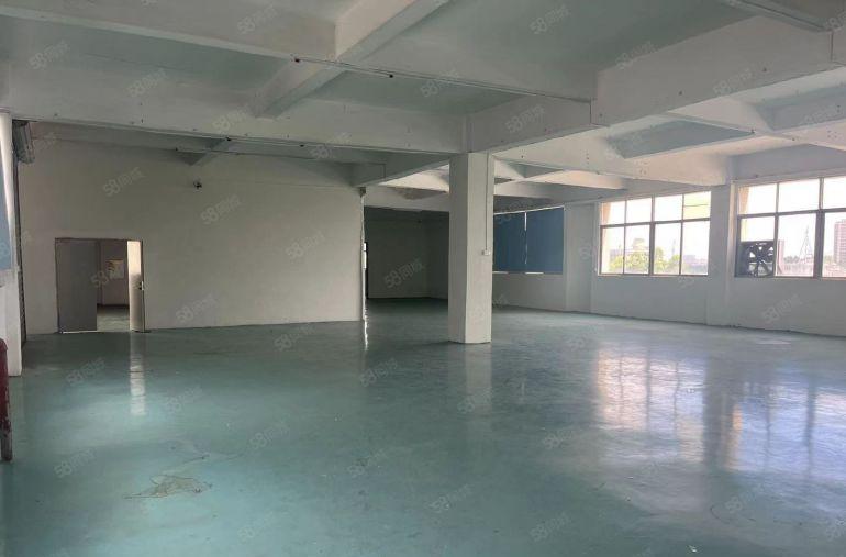 大岭山高速口附近，红本园区厂房出租 超低价 豪华装修