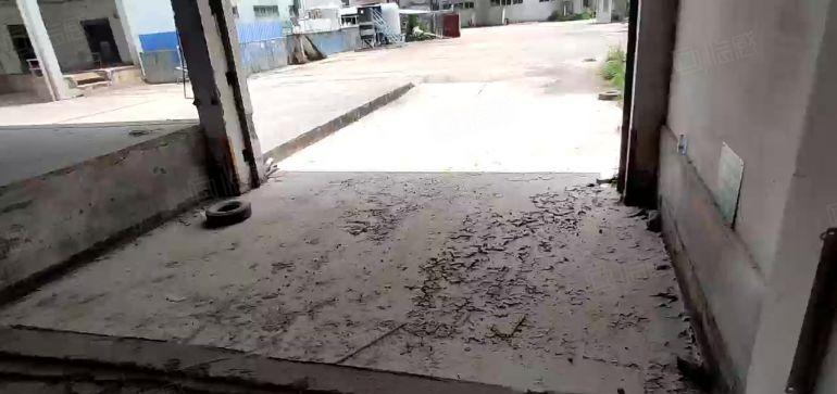 百花洞厚大路边新出钢构厂房4500平方，不限行业低价出租