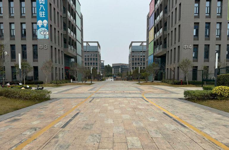 大岭山镇上市公司形象厂房出租，靠近高速入口，一手房东