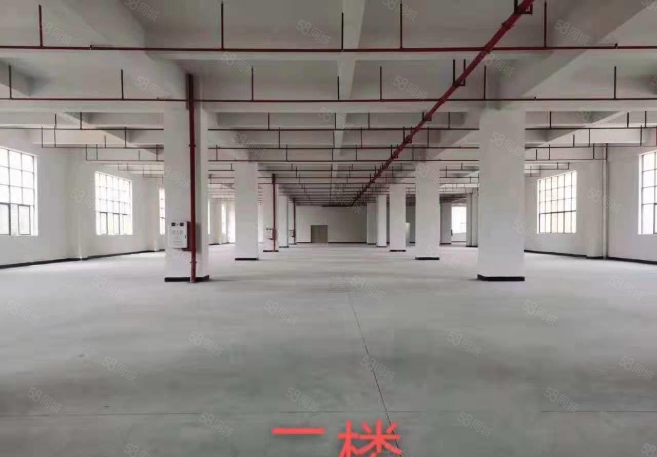 大岭山杨屋原房东全新厂房整栋每层3000平方厂房出租！