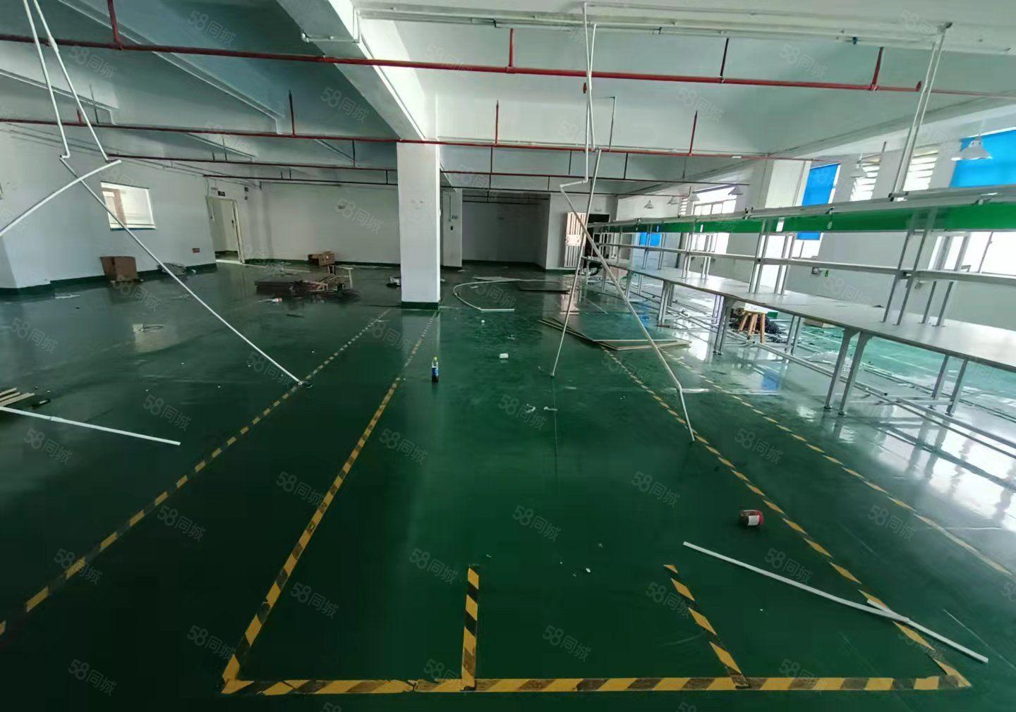 大岭山原房东低价800平厂房出租仓库出租，水电办公室齐全