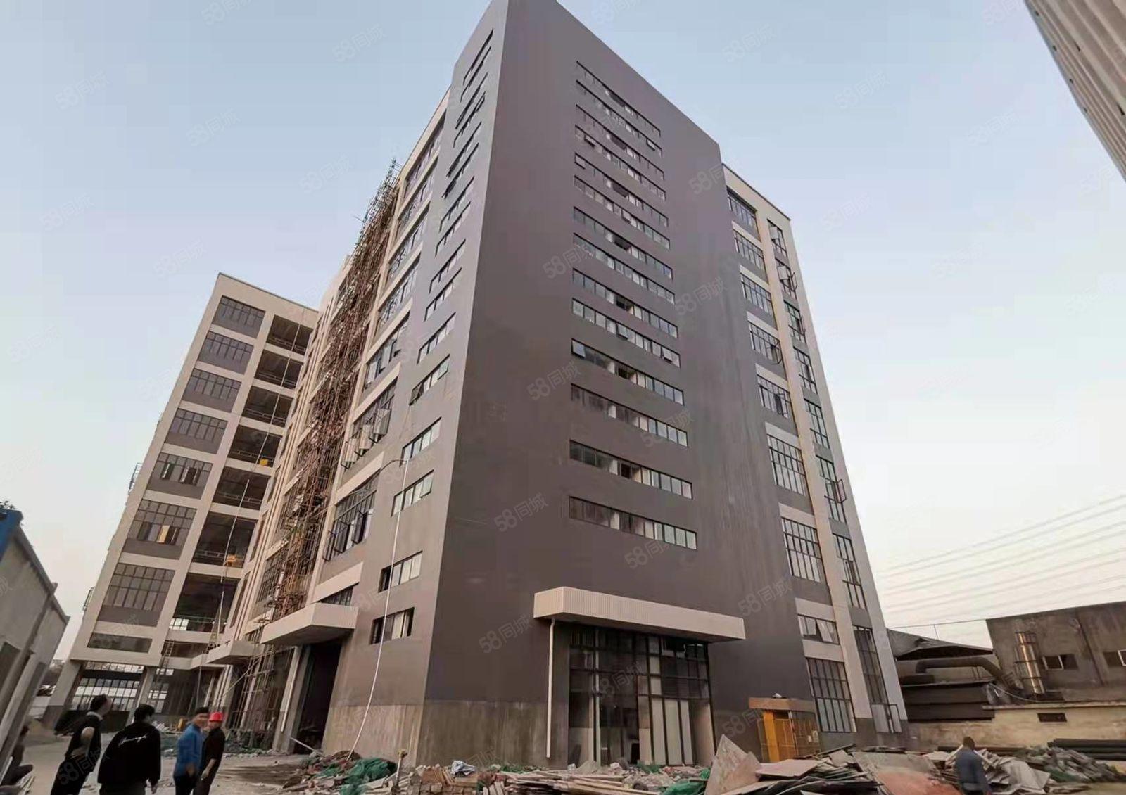 超长免租期 大岭山镇国有红本全新厂房出租500平起分租超低价