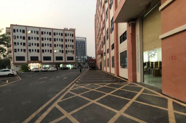 厂房出租大岭山杨屋高新工业园1楼800平厂房低价出租