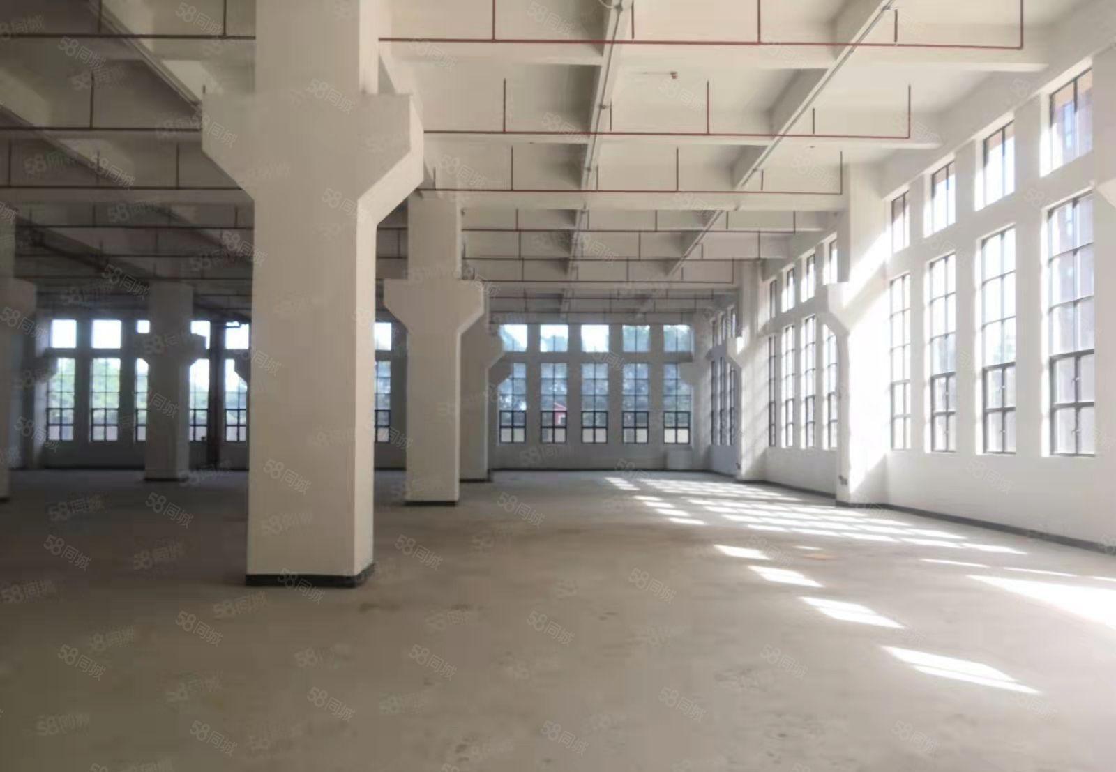 带牛角位 工业用地 大岭山镇新出标准1楼1000平方厂房分租