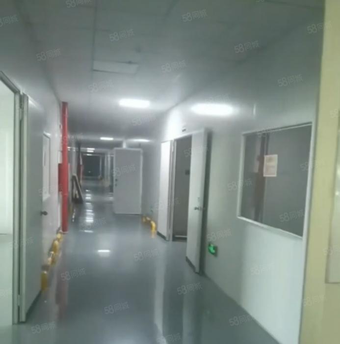 大岭山杨屋 现成精装修厂房出租 无尘车间 超低价