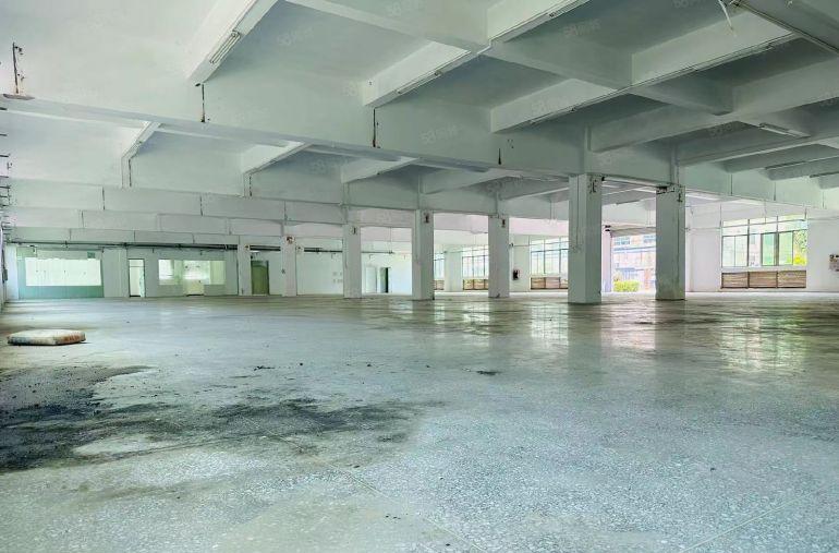 大岭山杨屋独门独院空地超大精装修可办环评水电齐全