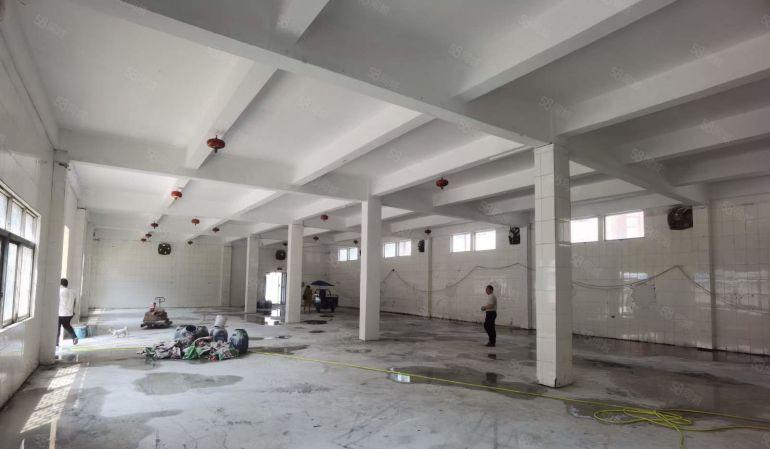 大岭山镇中心工业园区独门独院厂房出租精装修仓库厂房出租