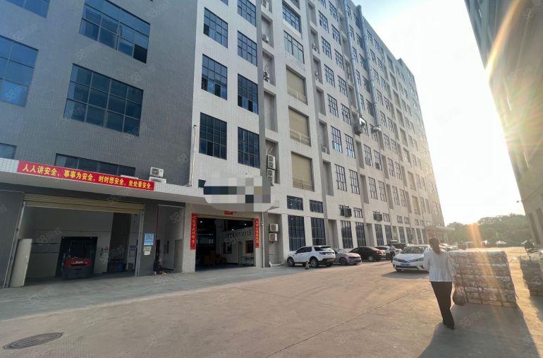 大岭山杨屋精装修厂房1800平