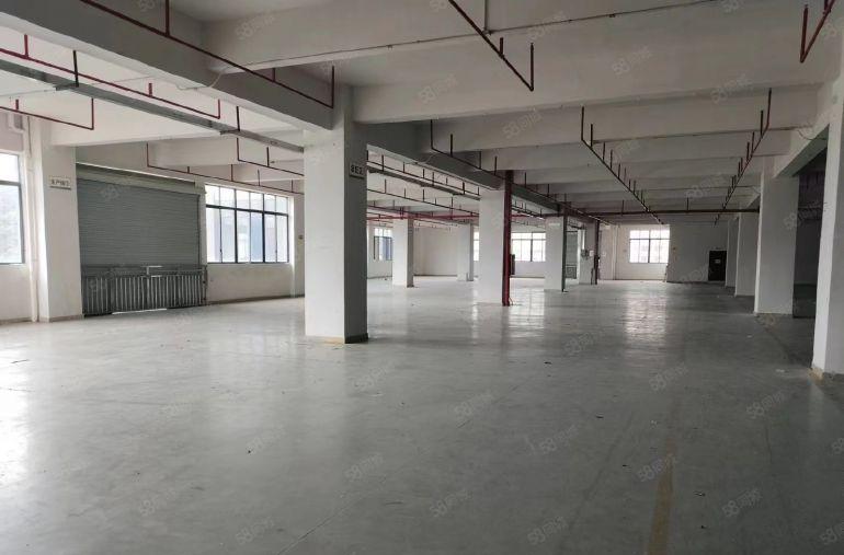 精装修  大岭山厂房出租2980平 可分租可办环评靠近国道