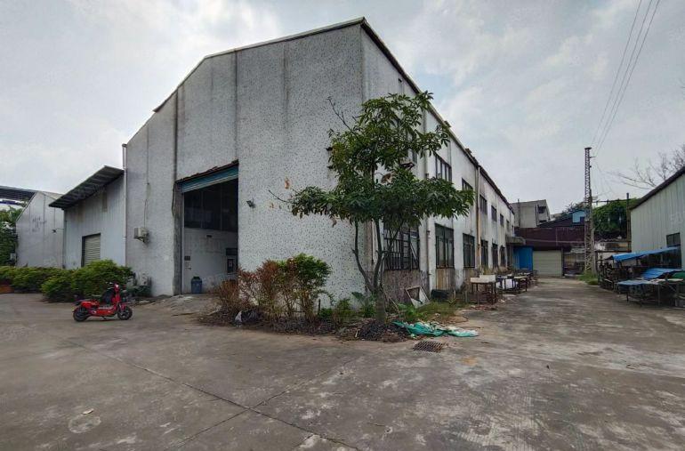 大岭山杨屋工业区单一层滴水8米砖墙到顶1200平厂房仓库出租