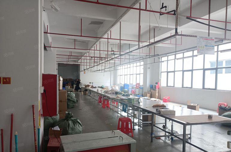 大岭山新空楼上1500平带精装修标准厂房出租仓库出租空地出租
