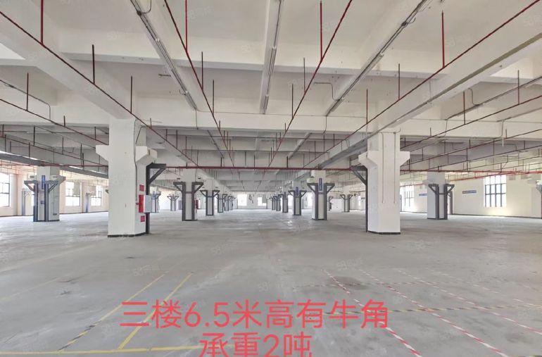 大岭山石大路边国有红本单层面积六千方大小可分一楼高度9.2米