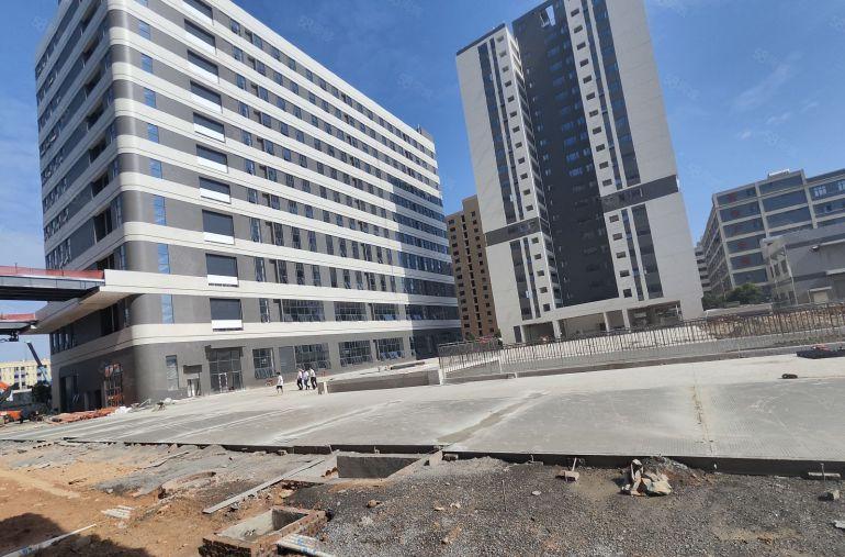 大岭山杨屋高速路口，全新厂房仓库出租，10元实量，7部5吨梯