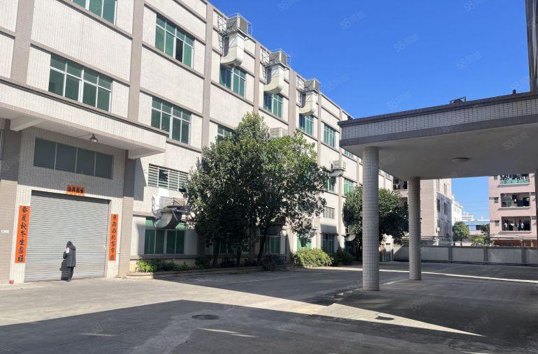 大岭山新出标准独院上市公司形象空地大带独栋豪华办公室带牛角位