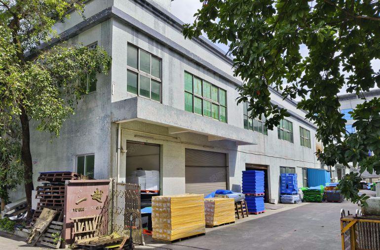 （两层独院）大岭山标准厂房出租2400方，格局方正，面积实量