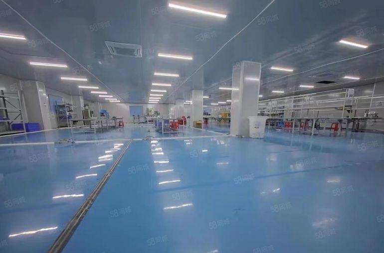 大岭山镇杨屋新出500平方，现成办公室装修，水电齐全，地坪漆