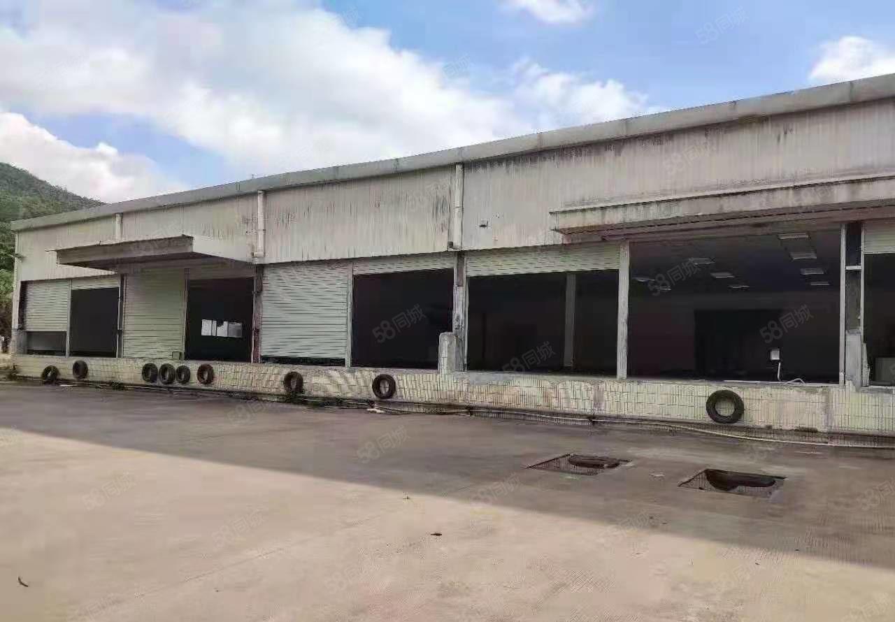 大岭山杨屋107国道边新出独院钢构7500平方招租带卸货平台