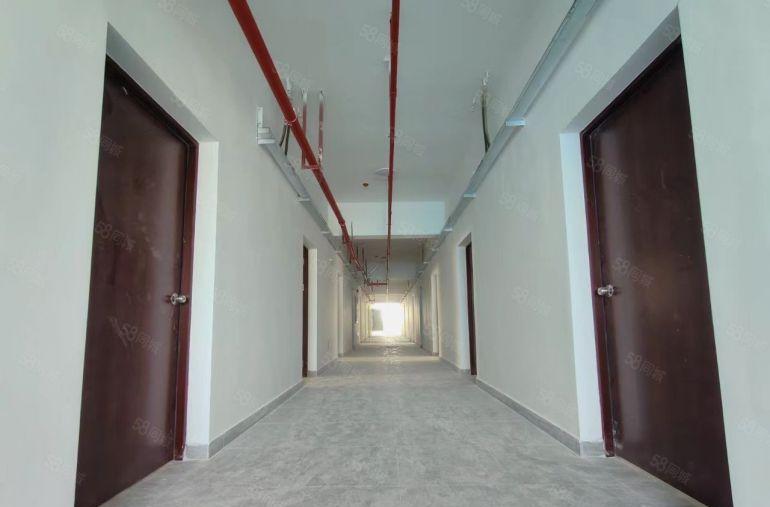 大岭山全新科技园标准原房东厂房500平米起出租