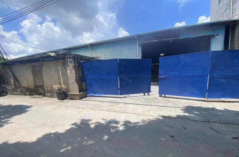 大岭山原房东独院单一层滴水7.5米厂房出租 水电齐全 无公摊