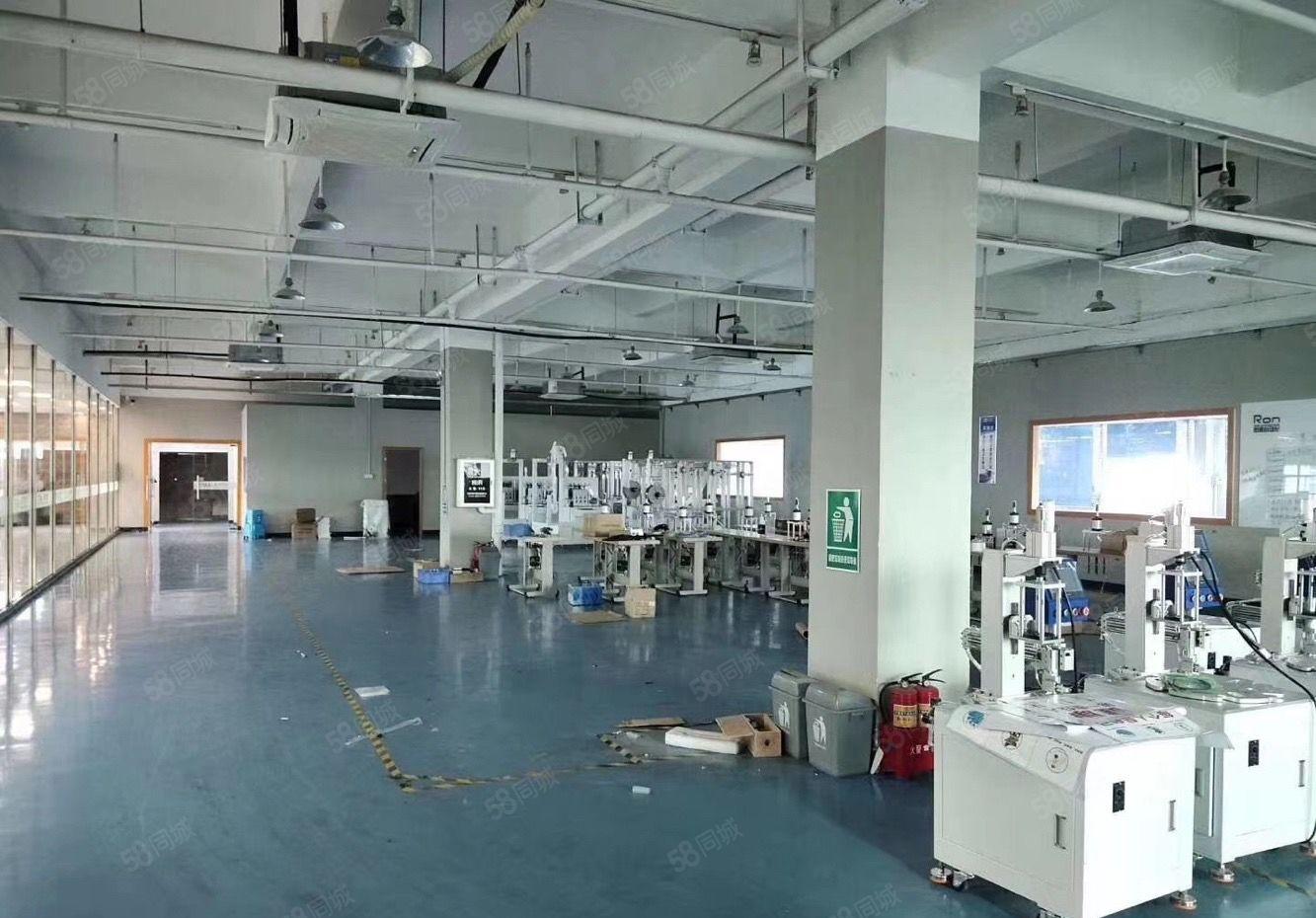 大片美工业区原房东厂房楼上1000平带装修厂房出租