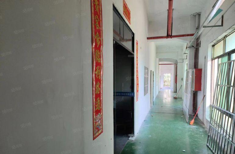 精装修  大岭山厂房出租1000平   超大空地可分租可办环