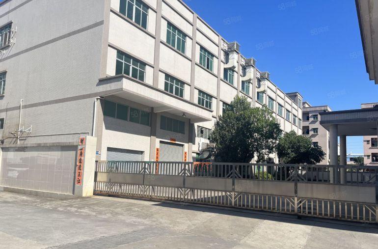 大岭山新出标准独院上市公司形象空地大带独栋豪华办公室带牛角位