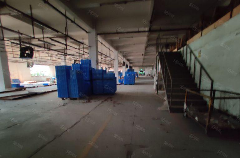 大岭山新出花园式标准一楼独院厂房9000平方空地约5000平