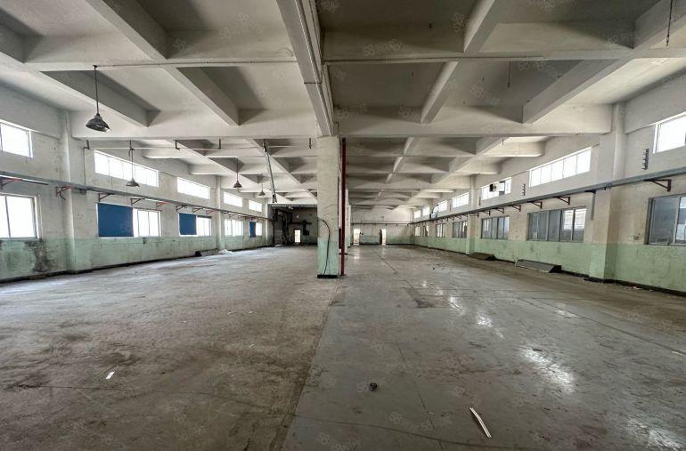 大岭山原房东独门独院实际面积3600平方低价厂房出租