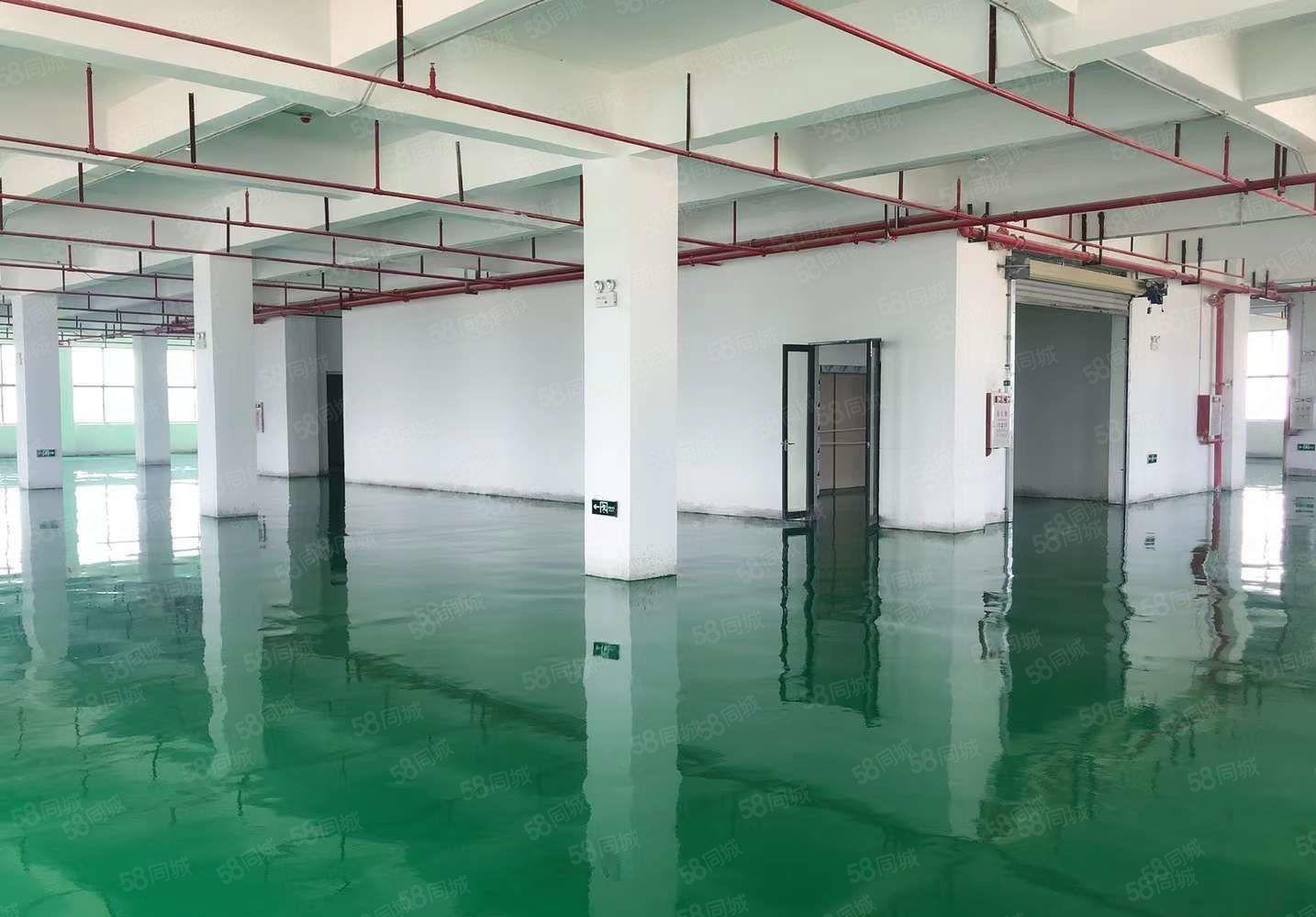 大岭山镇空出原房东独门独院3层3000平厂房出租无公摊带环坪