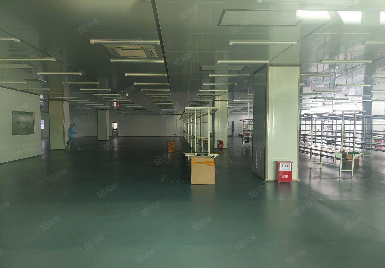 大岭山工业区无尘车间1500平方厂房出租，豪华装修，可分租