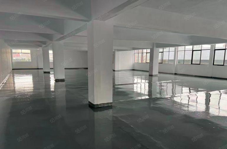 大岭山原房东厂房整层出租 厂房出租 家具厂房 行车 全新