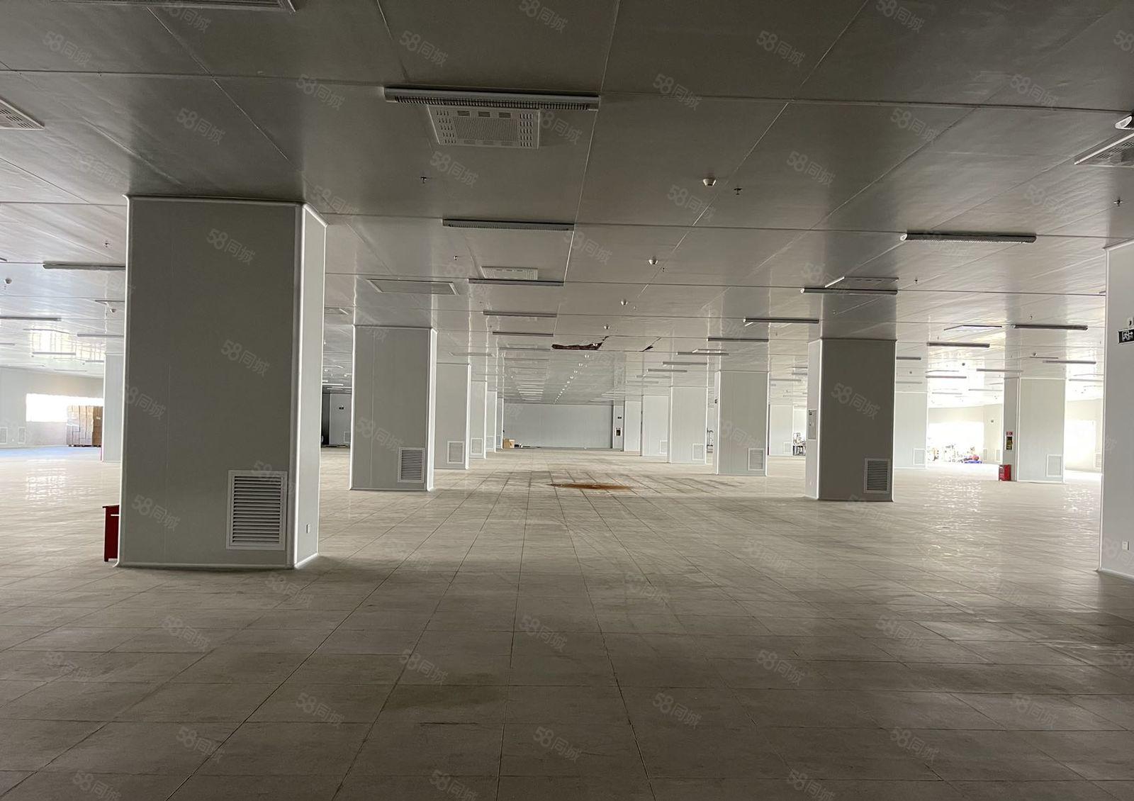 原房东花园式国有双证厂房招租，园区占地20万平，建筑32万平