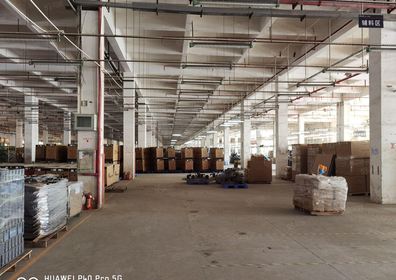 花园式厂房出租，设施齐全，易招工，交通便利停车位充足