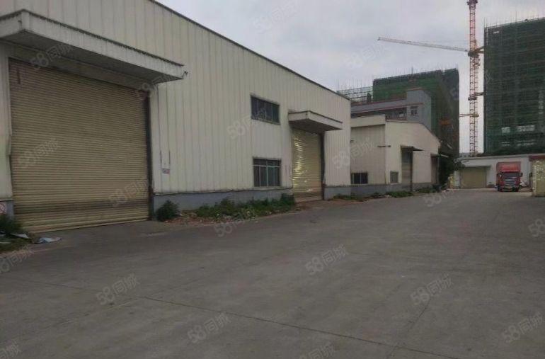 东莞大岭山镇原房东钢构厂房中高11米无公摊现成办公室