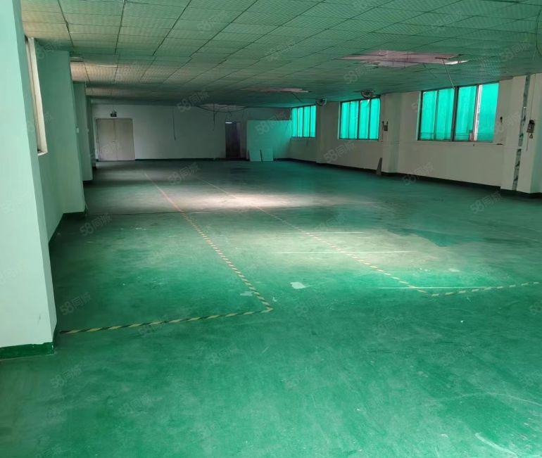 可省下装修费  大岭山出租厂房仓库780平  空地大靠近国道