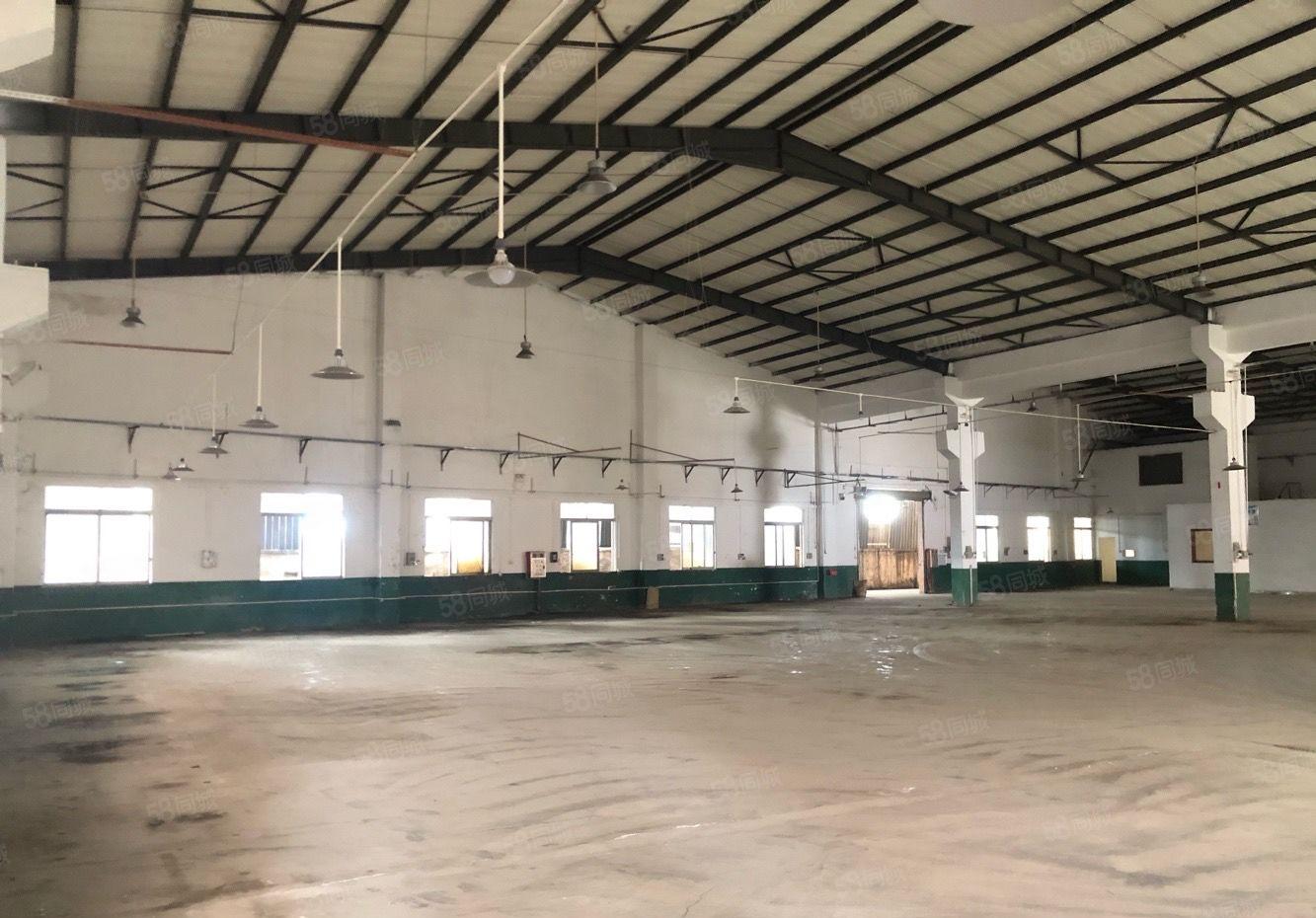 大车进出便利，大岭山新出单一层滴水八米无柱可分租五金设备仓储