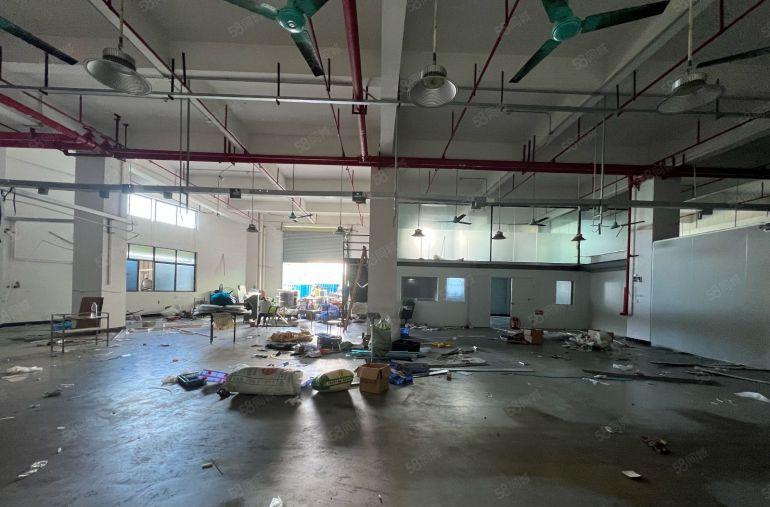 大岭山镇杨屋村标准1楼545平高度6米精装修阁楼办公室低价租