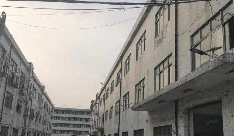 大岭山颜屋高速附近，园区厂房出租 精装修 超低价 1500平