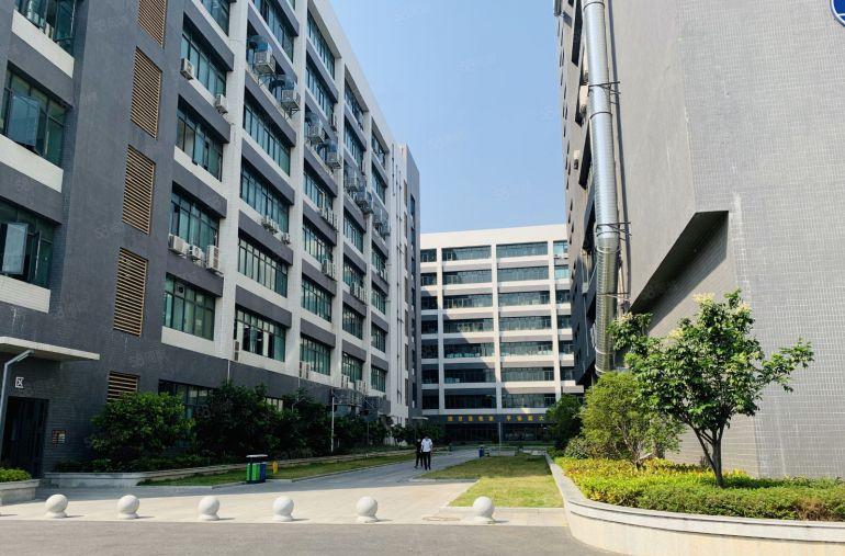 大岭山107国道2000平带航车 滴水7米  红本厂房出租