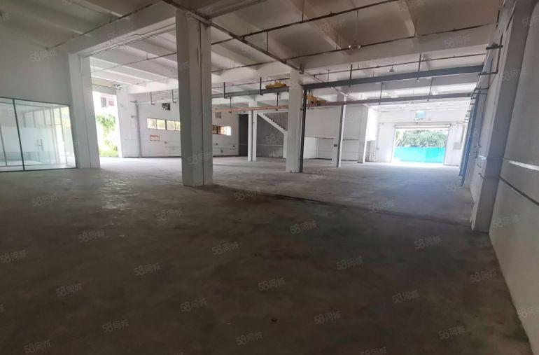 大岭山950平一楼 现成水电办公室装修  现成航车龙大高速口