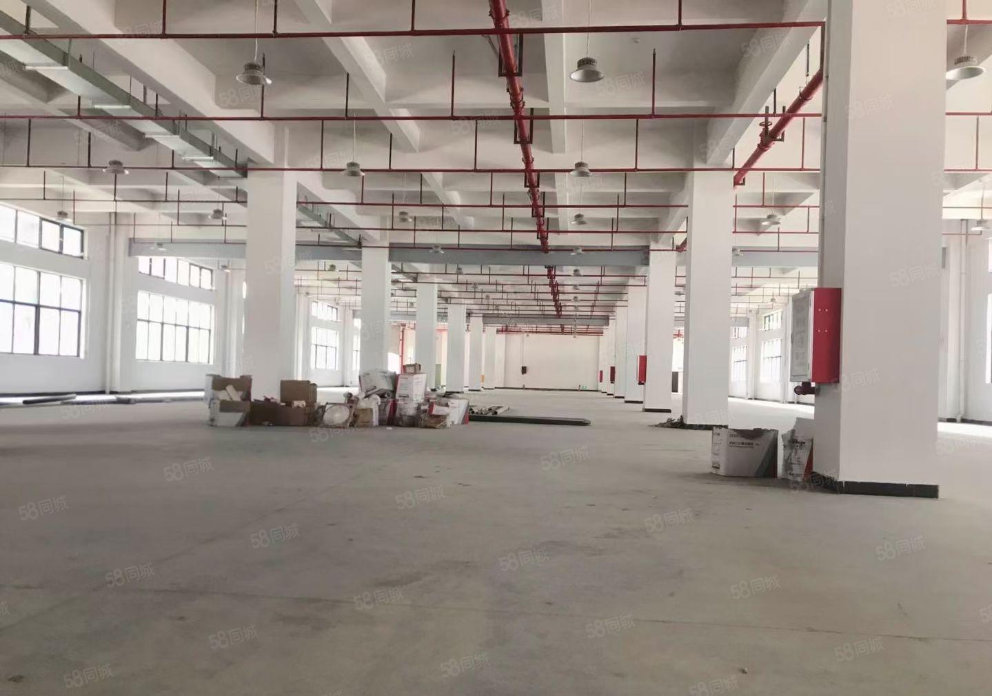 大岭山3万平米红本工业园厂房出租，可办环评，大小分租