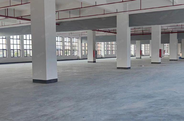 大岭山高速出口500平全新红本厂房可办环评有喷淋好招工