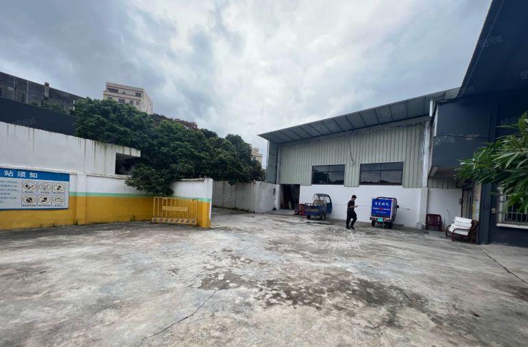 大岭山镇小独院单一层实际面积400平原房东直租新建厂房