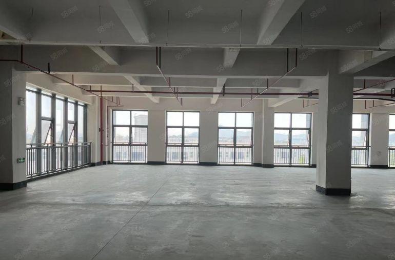 大岭山厂房出租，低价可做仓库，可办环评工业用地