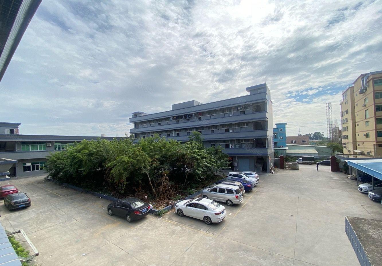 大岭山新出漂亮标准厂房出租，可分租空地大。适合小加工电子仓库