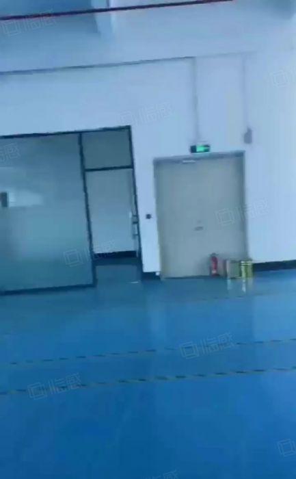 大岭山镇大塘村精装修办公楼厂房