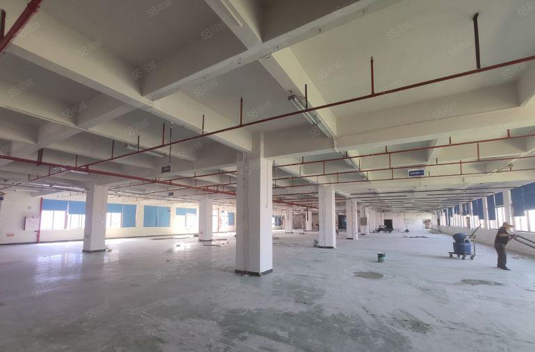 大岭山杨屋新空出三楼整层3000平带装修工业厂房出租